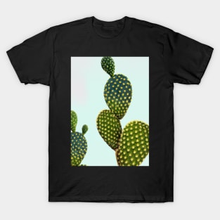 Fancy Cactus T-Shirt